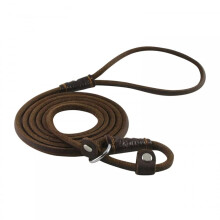Dog Slip Lead,5ft 2in1 Leather Pet Training Walking Leash Adjustable Neck Size for Small Medium Lage Dogs