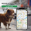 Haustier Anti-Lost GPS Tracker Bluetooth Smart Wasserdicht Locator, Katze 6