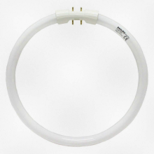 T5 Κυκλικός Λαμπτήρας Φθορισμού 22W 835 Lumens FC9T5/835 148569 TL5C