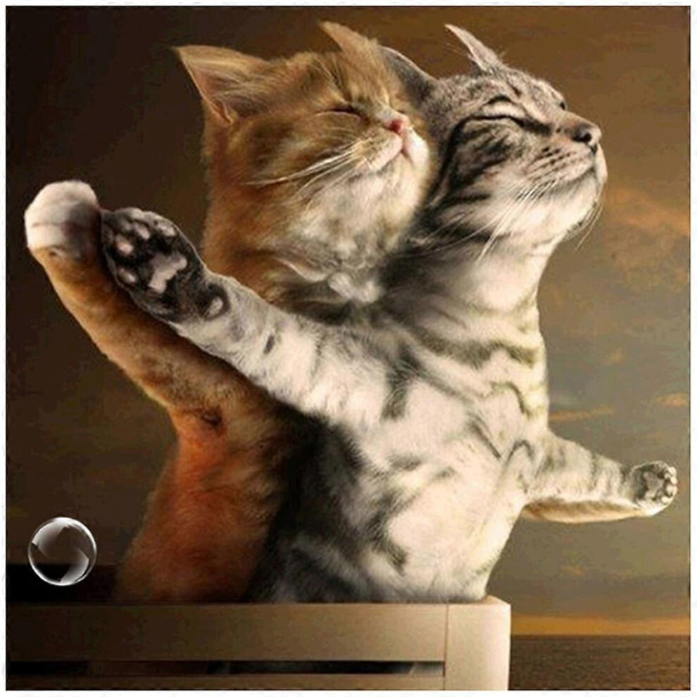 (As show, One size) Cute for Cat DIY 5D Full Drill Diamond Painting Embroidery for Cross Stitch Home