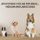 Dog Bark Collar for Large Small Medium Dogs, Rechargeable 8 Sensitivity AntiBarking Collar 4