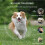 Dog Bark Collar for Large Small Medium Dogs, Rechargeable 8 Sensitivity AntiBarking Collar 3