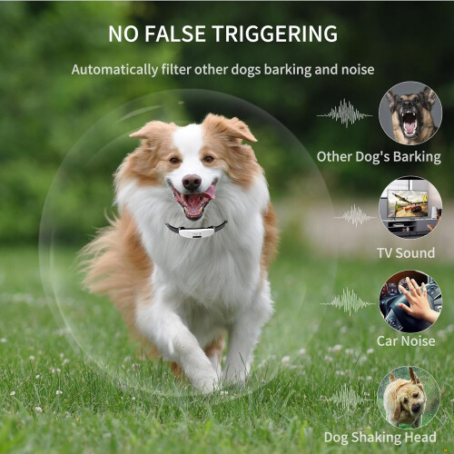 Dog Bark Collar for Large Small Medium Dogs, Rechargeable 8 Sensitivity AntiBarking Collar 2