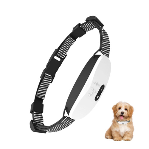 Dog Bark Collar for Large Small Medium Dogs, Rechargeable 8 Sensitivity AntiBarking Collar