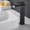 Living And Home Black 304 Stainless Steel Basin Mixer Tap 2