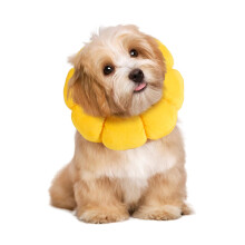 Soft Dog Cone for Dogs and Cats, Cute Fluffy Flower Shape for Calming Dog, Adjustable Collar