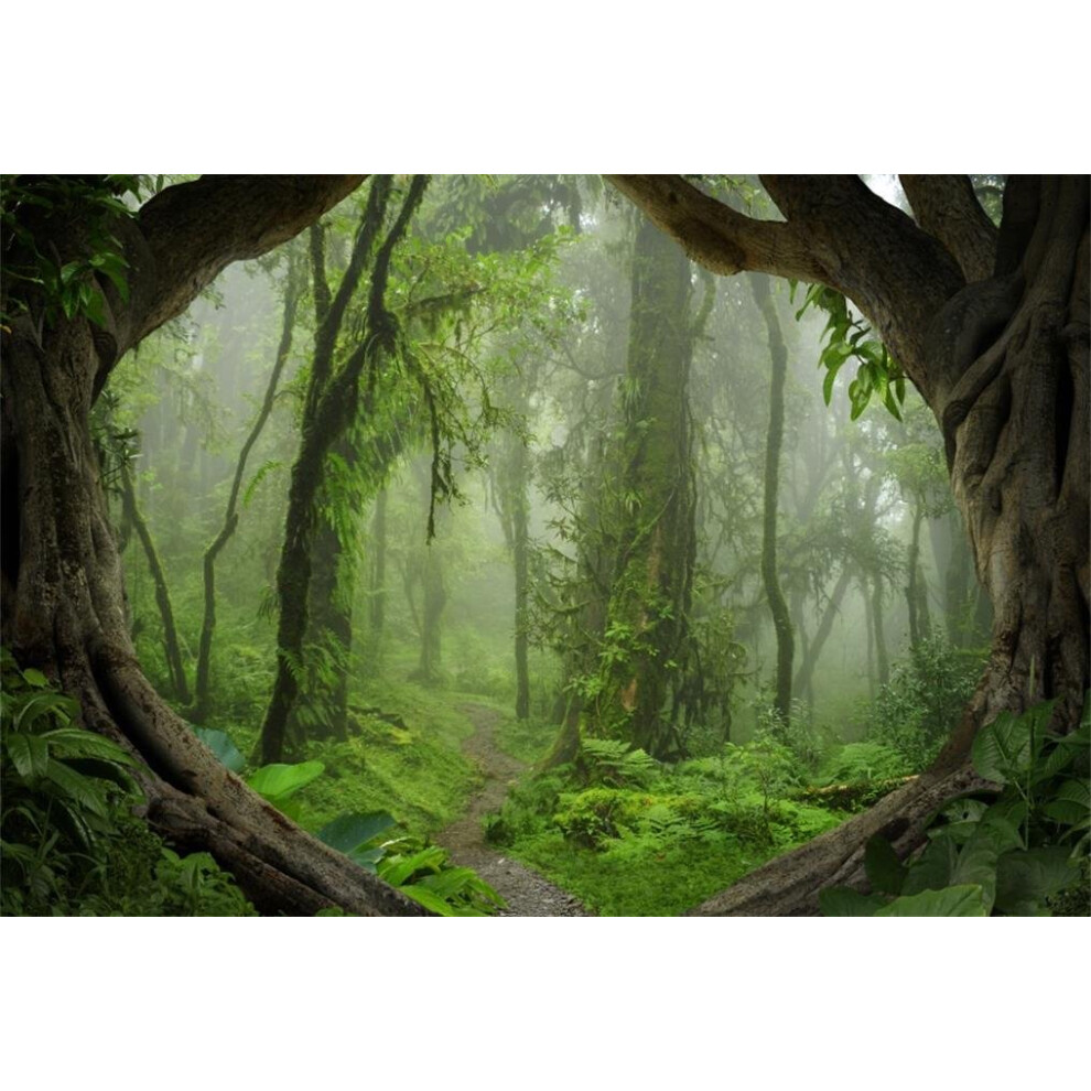 Forest Tropical Jungle Rainforest Backdrop For Photography And Picnic Camping 7X5ft 477169043795