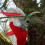 ARS-VS-8XZ Pruning Shears with Advanced VS Technology 5