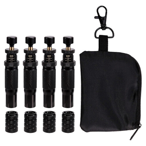 ,10-30 PSI/0.7-2 BAR Adjustable Kit 2