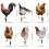 (F) Life-like Double-Sided Printed Acrylic Garden Statue Featuring a Rooster Ornament 5