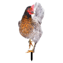 (L) Life-like Double-Sided Printed Acrylic Garden Statue Featuring a Rooster Ornament