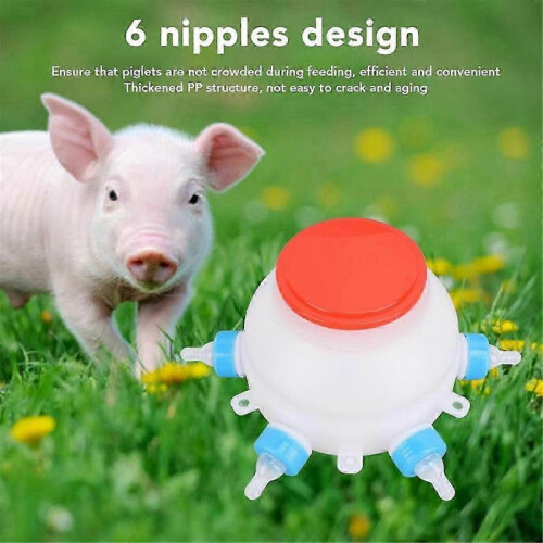 Piglet Feeding Bottle with 6 Nipples for Lamb Feeding 1