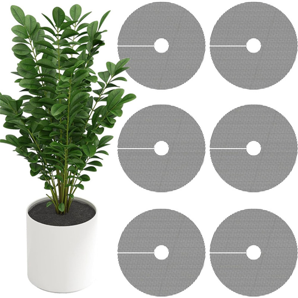 Grille de protection pour pot de fleurs, protège le sol des chats qui creusent