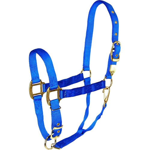 1-Inch Nylon Halter with Adjustable Chin, Blue - Draft Horse Size 1