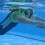 Inflatable Swim Arm Bands Flotation Sleeves 5