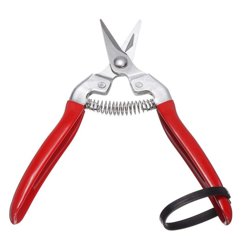 Pruning Shears, Edging Shears,All-Purpose Scissors,Garden Scissors,Hedge Shears,Pruning Shears,Garden Grass Cutter Fruit Picking Scissors Refï¼Oba 477169061829