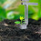Plant and Fruit Tree Seedling Transplanter,  Upgrade Bulb Planter Tool Long Handle 4