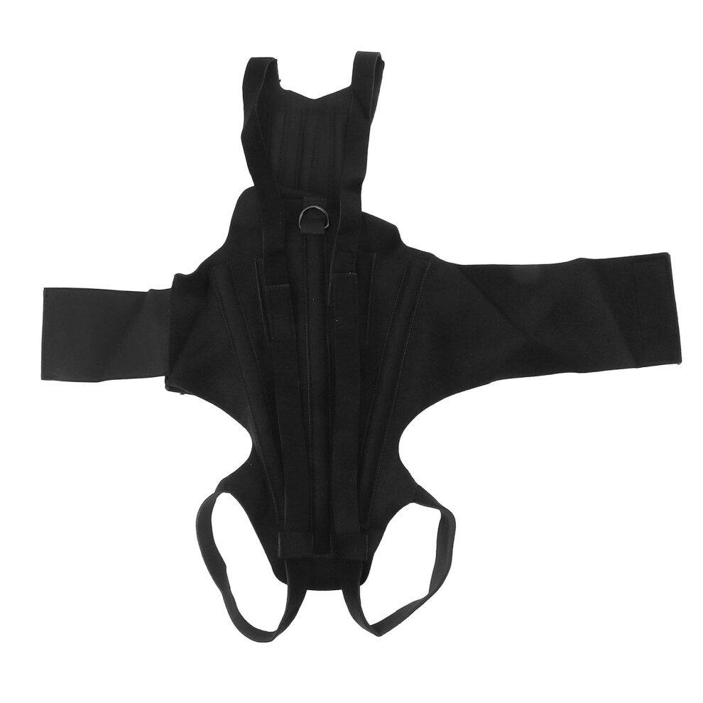 Dog Back Bracer Spinal Surgery Recovery Herniated