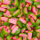 (225g Sweet Pouch) Watermelon Slices 2