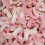 (1.5kg Sweet Jar) Milk Teeth 1