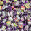 (1.75kg Sweet Jar) Liquorice Assortment 1