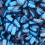 (650g Sweet Jar) Raspberry Liquorice Slices 1