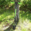 Long Handled Bulb Planter Tool 5 in 1 Lawn and Garden Tool for Digging Holes 5