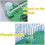 2Pcs Automatic Bird Feeder Bird Waterer & Feeder Parakeet 2