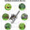 Bulb Planter Tool,Plant and Fruit Tree Seedling Transplanter,Stainless Steel Transplant Tool (2 Pcs) 4