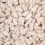 (2kg Bulk Box) Milk Bottles Gums (Dusted) 2