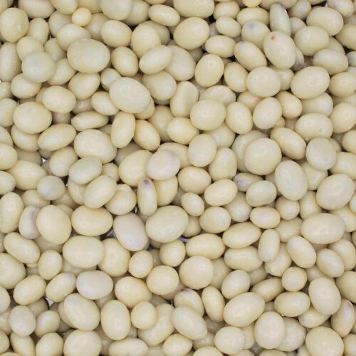 (225g Sweet Pouch) Yogurt Raisins