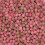 (700g Sweet Jar) Cola Pips 1