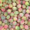 (Rosey Apples) Small Sweet Jar - Retro & Traditional Sweets 1