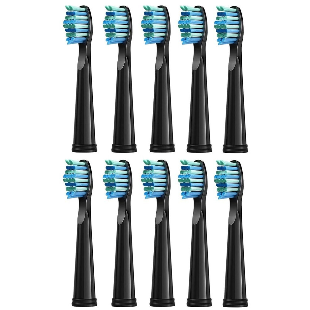 10 Pcs Replacement Brush Heads Compatible with Seago/Fairywill Electric Toothbrush Dupont Bristle