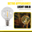20Pcs G40 LED Glühbirnen E12 Schraube Basis für Solar String Lichter Warm 4