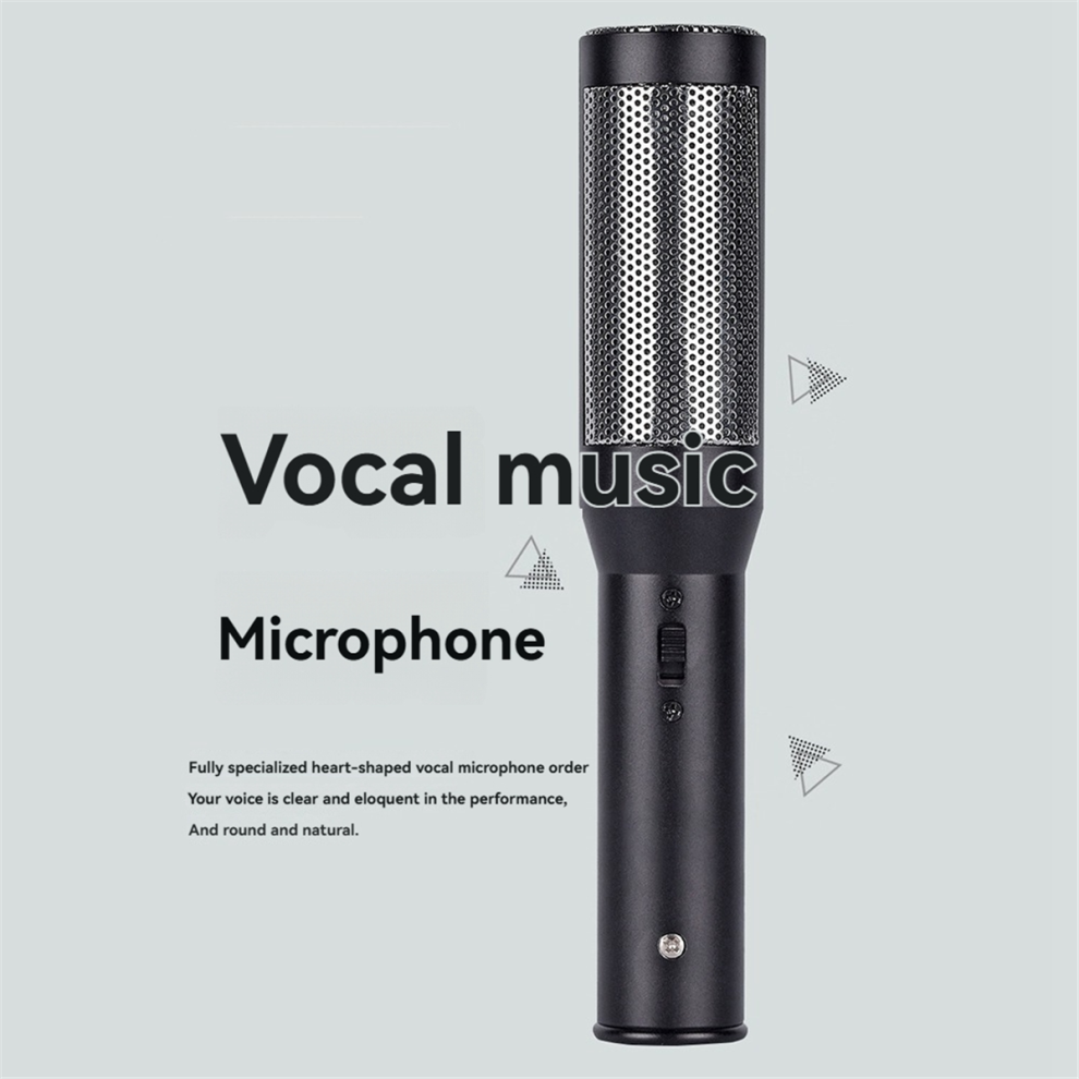 Microfono Per Conferenze, Interviste, Microfono Dal Vivo, Supercardioide