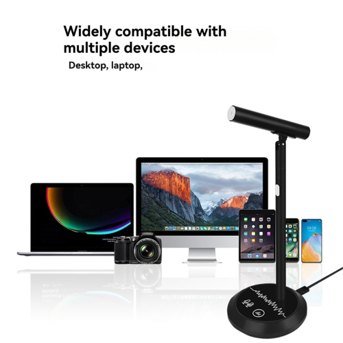 Condenser Desktop USB Microphone 2