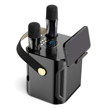 Vysokovýkonný karaoke Bluetooth reproduktor s duálnym mikrofónom, čierny