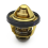 Termostato di raffreddamento GTS300, Oro 4