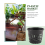 10pcs 3 inch Mesh Pot Net Planting Basket Hydroponic Black 3
