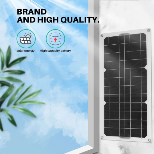 30W Solarpanel Auto Erhaltungsladegerät 12V mit 100A Controller 2