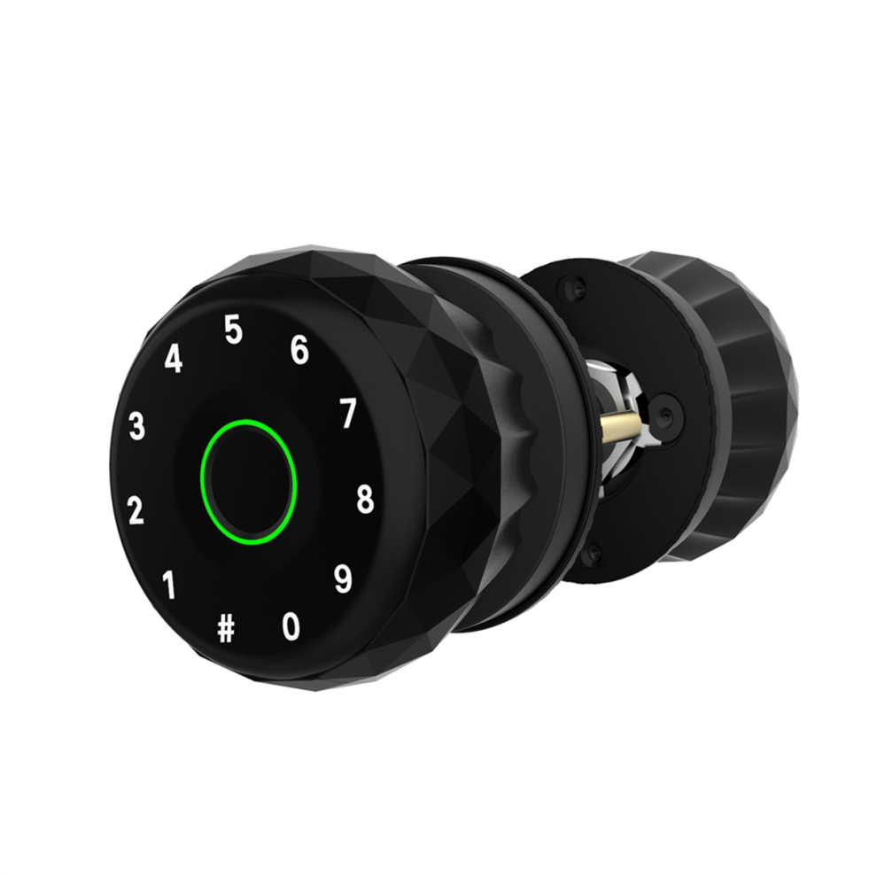 Tuya Smart Fingerprint Lock Support Key Password Bluetooth App Unlock 4851455576505