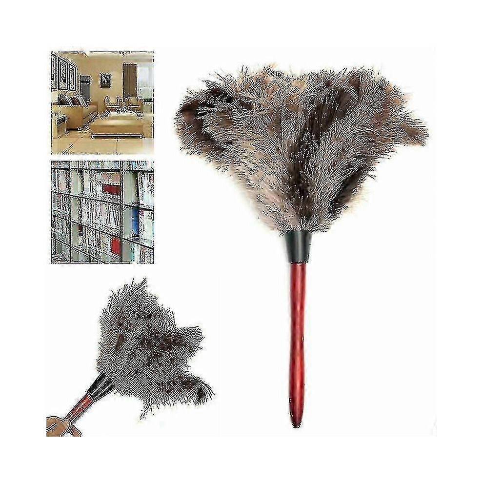 Kikidex (As Show, One Size) Anti Static Genuine Ostrich Feather Duster 32Cm Wooden Handle Brush Clean Grey