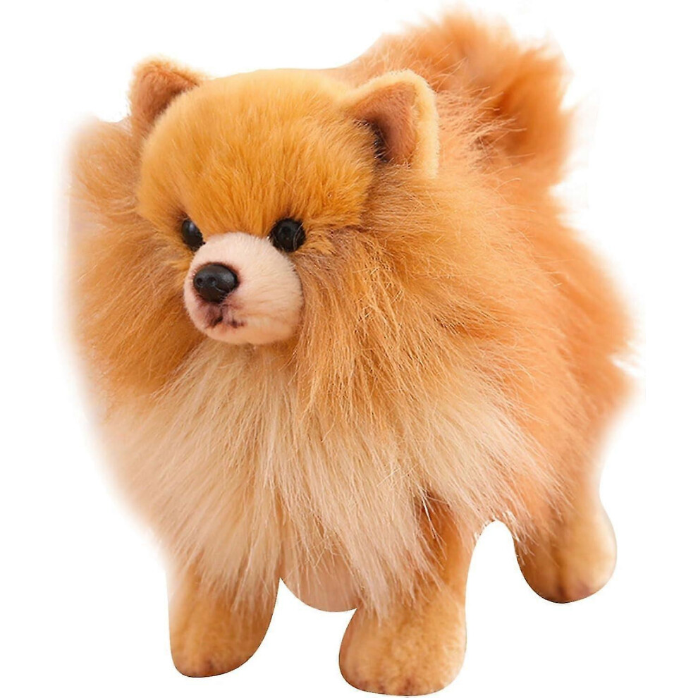 Kikidex (As Show, One Size) Pomeranian Plush Pomeranian Stuffed Animal Cute Simulation Pomeranian Stuffed Animal Lifelike Dog Plush 10X9inch Cotton Filled Plu