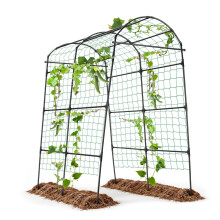 Garden Arch Trellis for Climbing Plants Outdoor, 7ft Extra Tall Cucumber Trellis