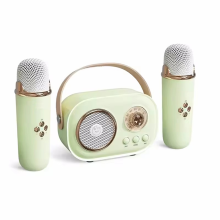 Altoparlante portatile wireless Bluetooth per karaoke con microfono verde