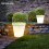 Outdoor Solar Garden Flowerpot Light 4