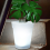 Outdoor Solar Garden Flowerpot Light 5