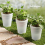 Outdoor Solar Garden Flowerpot Light 6