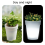 Outdoor Solar Garden Flowerpot Light 3